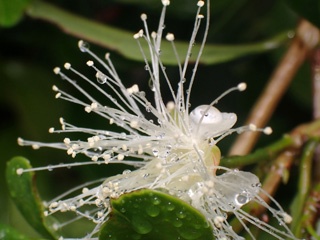 PC313414a.jpg